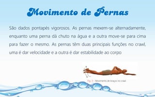 Movimento de Pernas
São dados pontapés vigorosos. As pernas mexem-se alternadamente,
enquanto uma perna dá chuto na água e a outra move-se para cima
para fazer o mesmo. As pernas têm duas principais funções no crawl,
uma é dar velocidade e a outra é dar estabilidade ao corpo
Fig. 3 – Movimento de braços no crawl.
 