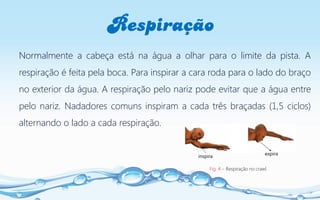 Respiração
Normalmente a cabeça está na água a olhar para o limite da pista. A
respiração é feita pela boca. Para inspirar a cara roda para o lado do braço
no exterior da água. A respiração pelo nariz pode evitar que a água entre
pelo nariz. Nadadores comuns inspiram a cada três braçadas (1,5 ciclos)
alternando o lado a cada respiração.
Fig. 4 – Respiração no crawl.
inspira
expira
 