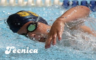 Técnica
 