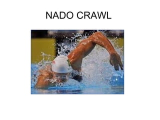 NADO CRAWL
 