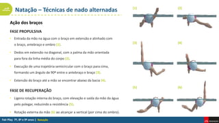 Natação – Técnicas de nado alternadas
Natação
Ação dos braços
FASE PROPULSIVA
• Entrada da mão na água com o braço em extensão e alinhado com
o braço, antebraço e ombro (1).
• Dedos em extensão na diagonal, com a palma da mão orientada
para fora da linha média do corpo (2).
• Execução de uma trajetória semicircular com o braço para cima,
formando um ângulo de 90º entre o antebraço e braço (3).
• Extensão do braço até a mão se encontrar abaixo da bacia (4).
FASE DE RECUPERAÇÃO
• Ligeira rotação interna do braço, com elevação e saída da mão da água
pelo polegar, reduzindo a resistência (5).
• Rotação externa da mão (6) ao alcançar a vertical (por cima do ombro).
(2)
(3) (4)
(5) (6)
(1)
 