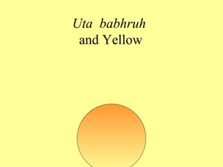 Uta babhruh
 and Yellow
 