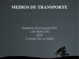 Natasha Dominguez #15 Luis Abreu #2 B3B Colegio De La Salle MEDIOS DE TRANSPORTE 