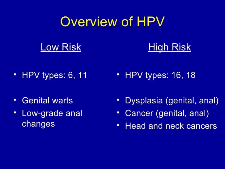 Hpv what is it what does it do 
