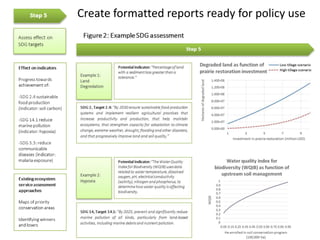 8: Check to see if your run has worked.
Run other scenario-model pairs if desired.
 
