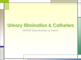 Urinary Elimination & Catheters
NATCEP Days Nineteen & Twenty

 