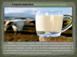 Сырое коровье молоко высшего сорта
Молоко - питательная жидкость, вырабатываемая молочными железами самок
млекопитающих. Естественное предназначение молока вскармливание детенышей (в
том числе и у человека), которые ещё не способны переваривать другую пищу. В
настоящее время молоко входит в состав многих продуктов, используемых человеком, а
его производство стало крупной отраслью промышленности.
 