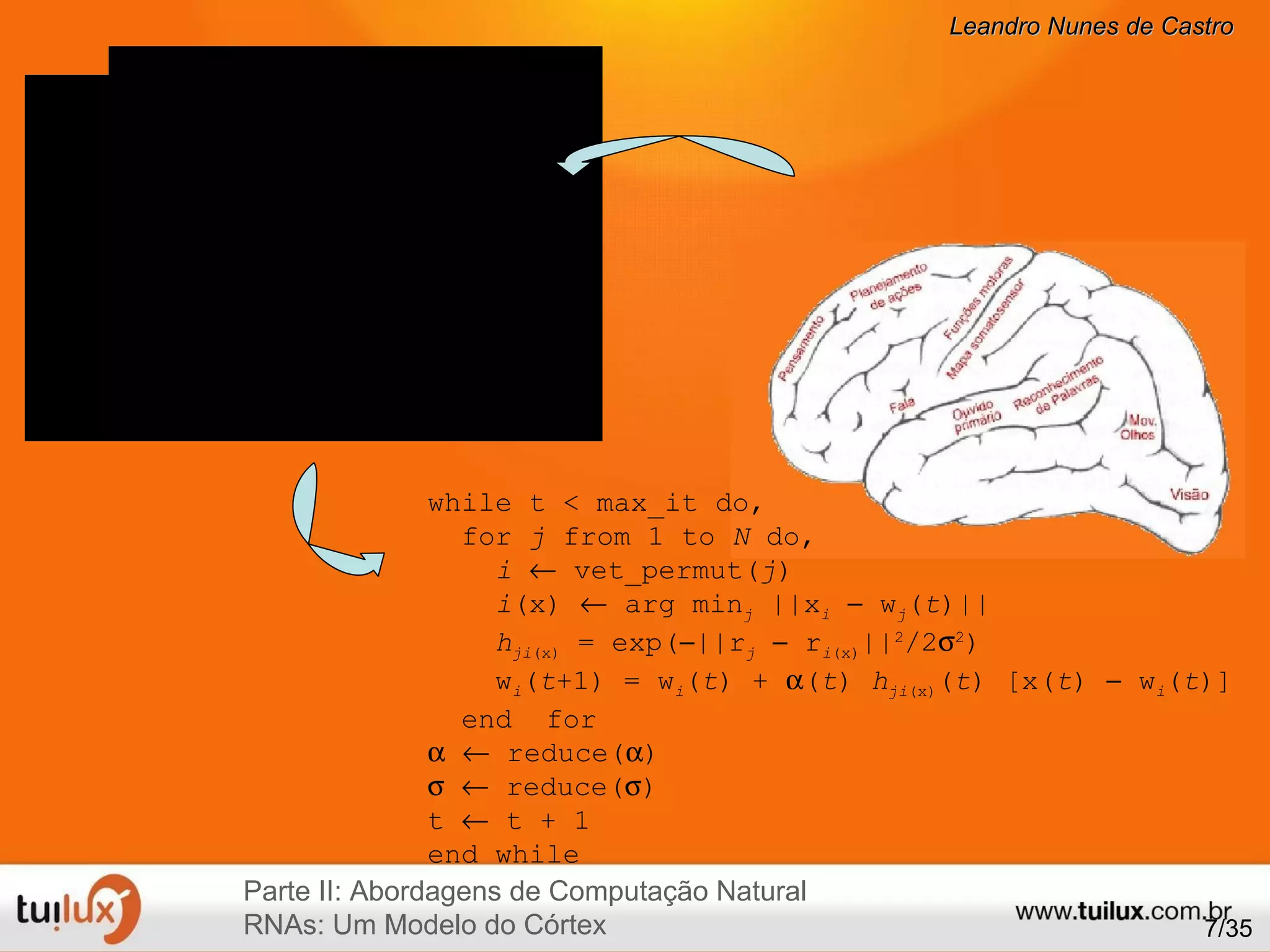 /35 while t < max_it do, for  j  from 1 to  N  do, i      vet_permut( j ) i (x)    arg min j  ||x i     w j ( t )|| h ji (x)  = exp(  ||r j     r i (x) || 2 /2  2 ) w i ( t +1) = w i ( t ) +   ( t )  h ji (x) ( t ) [x( t )    w i ( t )] end  for       reduce(  )       reduce(  )  t    t + 1 end while Parte II: Abordagens de Computação Natural RNAs: Um Modelo do Córtex 