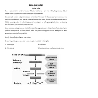 Nucleic Acid Based Therapeutic Delivery System | PPTX