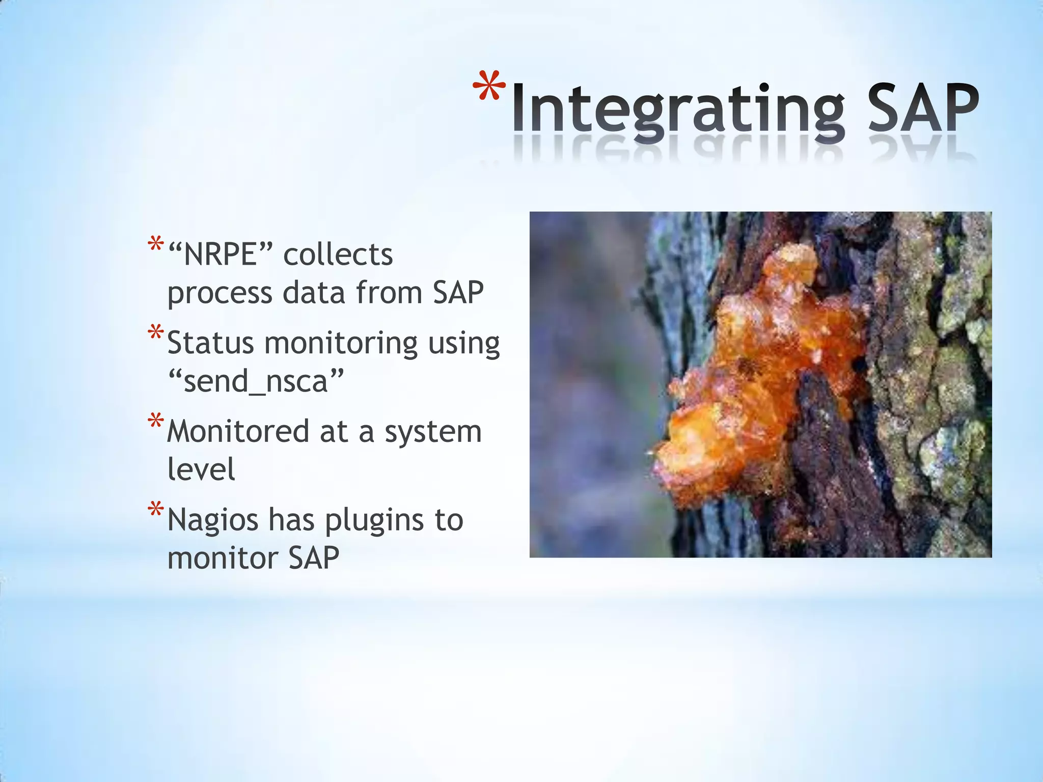 Tools We Use with Nagios