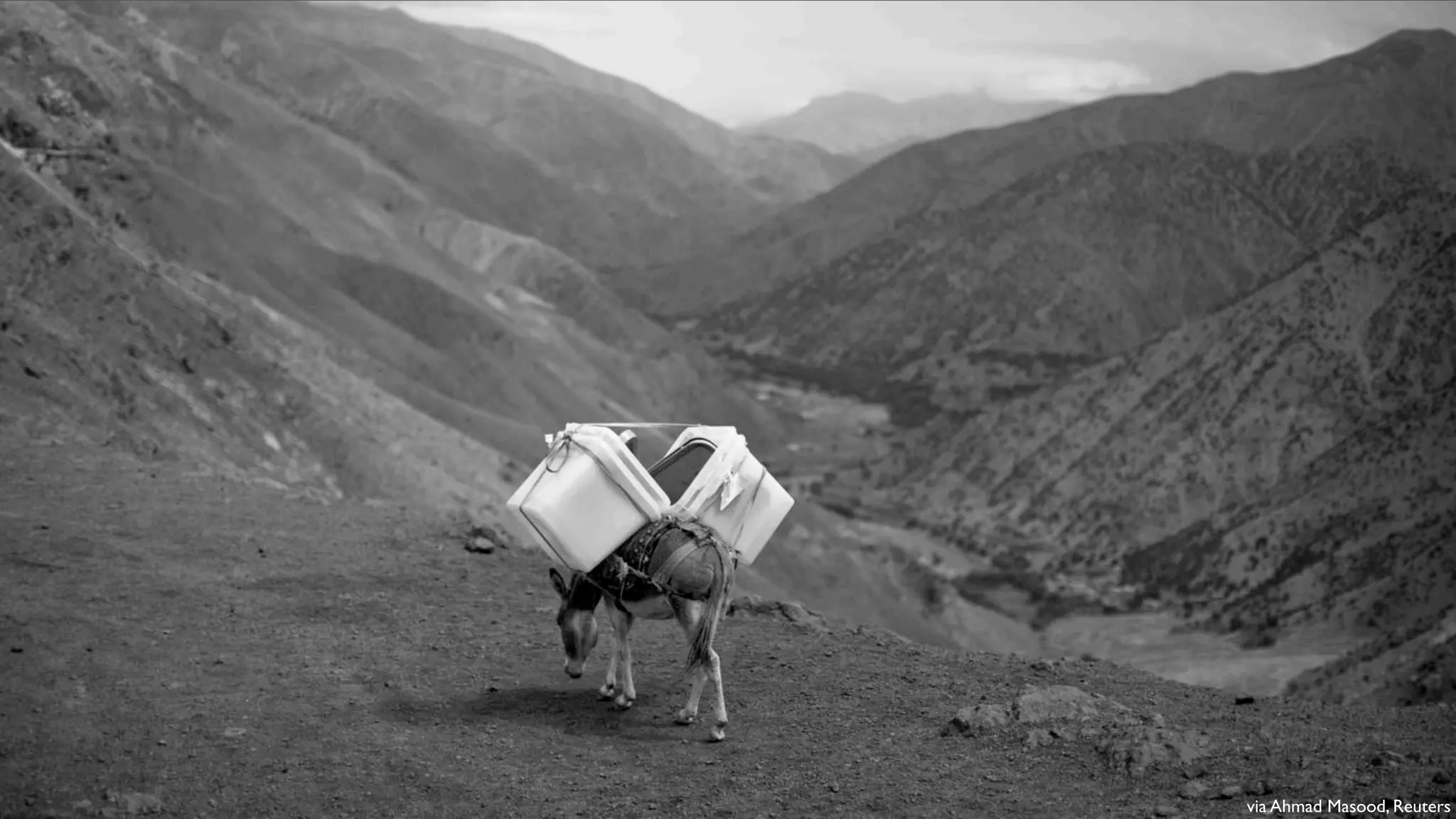 via Ahmad Masood, Reuters