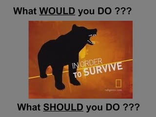 What WOULD you DO ???

What SHOULD you DO ???

 