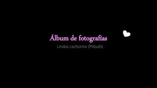 Álbum de fotografías
Lindos cachorros (Pitbulls)
 