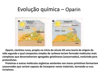 Evolução química – Oparin




   Oparin, cientista russo, propôs no início do século XX uma teoria de origem da
vida segundo a qual compostos simples de carbono teriam formado moléculas mais
complexas que desenvolveram agregados gelatinosos (coacervados), evoluindo para
protocélulas.
   Proteínas e outras moléculas orgânicas existentes nos mares primitivos formariam
coacervados que seriam capazes de incorporar novos materiais, tornando-se mais
Complexos.
 