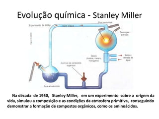 Evolução química - Stanley Miller




   Na década de 1950, Stanley Miller, em um experimento sobre a origem da
vida, simulou a composição e as condições da atmosfera primitiva, conseguindo
demonstrar a formação de compostos orgânicos, como os aminoácidos.
 