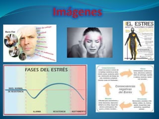 ¿Que es el estrés?