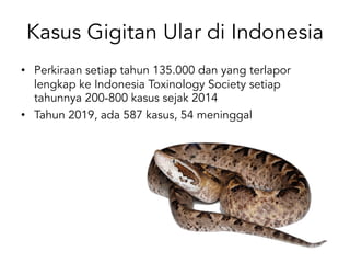 Kasus Gigitan Ular di Indonesia
• Perkiraan setiap tahun 135.000 dan yang terlapor
lengkap ke Indonesia Toxinology Society setiap
tahunnya 200-800 kasus sejak 2014
• Tahun 2019, ada 587 kasus, 54 meninggal
 