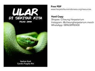 Free PDF
www.herpetofaunaindonesia.org/resources
Hard Copy
Shopee: Ciliwung Herpetarium
Instagram: @ciliwungherpetarium.merch
WhatsApp: 089638992430
 