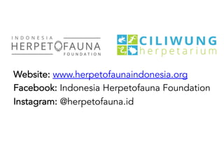 Website: www.herpetofaunaindonesia.org
Facebook: Indonesia Herpetofauna Foundation
Instagram: @herpetofauna.id
 
