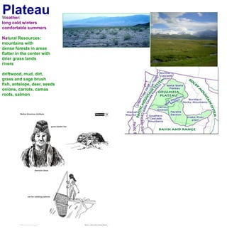 PlateauWeather:long cold winterscomfortable summers Natural Resources:mountains with dense forests in areasflatter in the center with drier grass landsriversdriftwood, mud, dirt,grass and sage brushfish, antelope, deer, seedsonions, carrots, camas roots, salmon