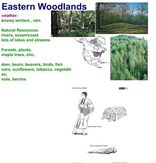 Eastern WoodlandsWeather:snowy winters , rainNatural Resources:rivers, ocean/coastlots of lakes and streamsForests, plants, maple trees, elm,deer, bears, beavers, birds, fishcorn, sunflowers, tobacco, vegetables,nuts, berries