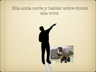 Ella anda norte y hablar sobre donde
             ella vivir.
 
