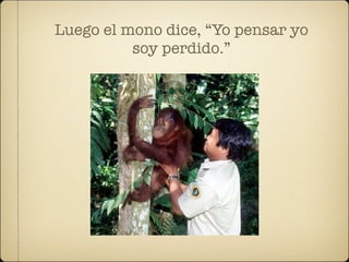 Luego el mono dice, “Yo pensar yo
          soy perdido.”
 