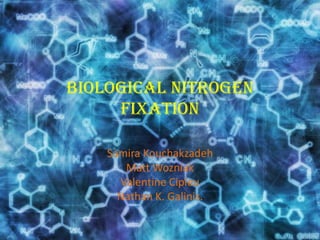 Biological Nitrogen
Fixation
Samira Kouchakzadeh
Matt Wozniak
Valentine Cipleu
Nathan K. Galinis.
 