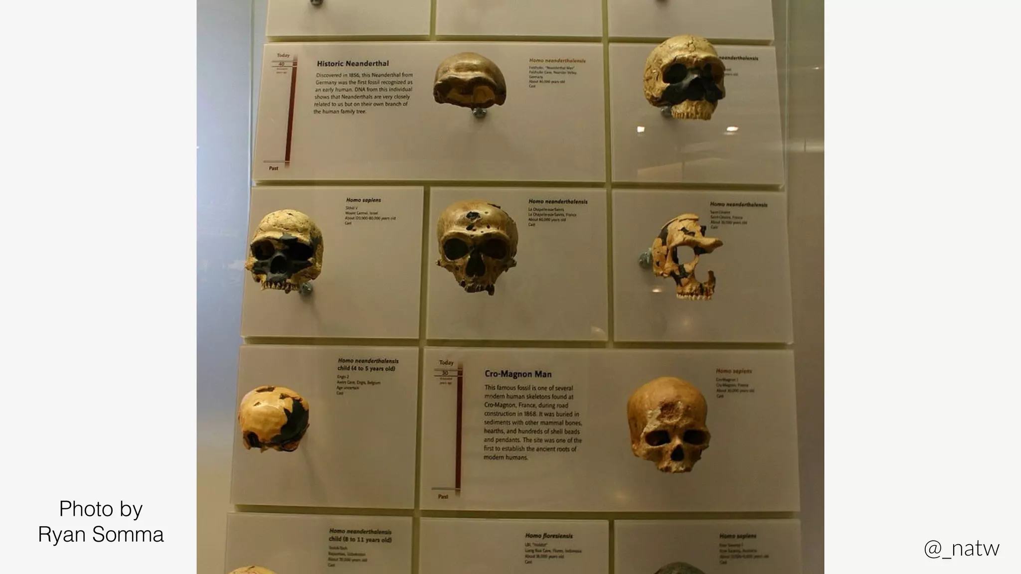 @_natw 
Why creativity? 
Photo by 
Ryan Somma 
 