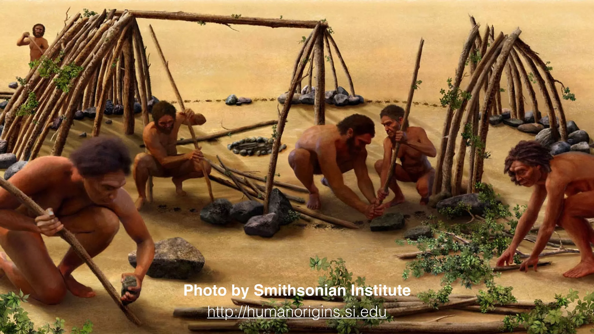 @_natw 
Early human groups. 
Photo by Smithsonian Institute 
http://humanorigins.si.edu 
 