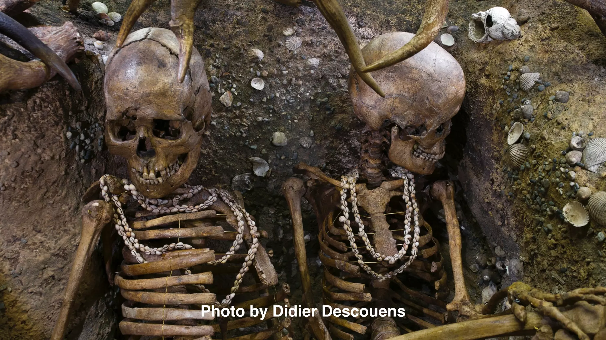 @_natw 
Sex. 
Photo by Didier Descouens 
 