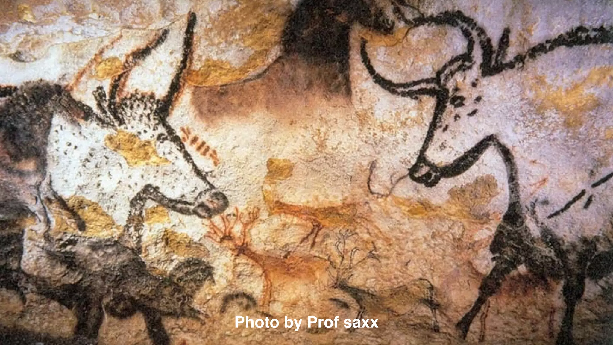 Photo by Prof saxx @_natw 
 