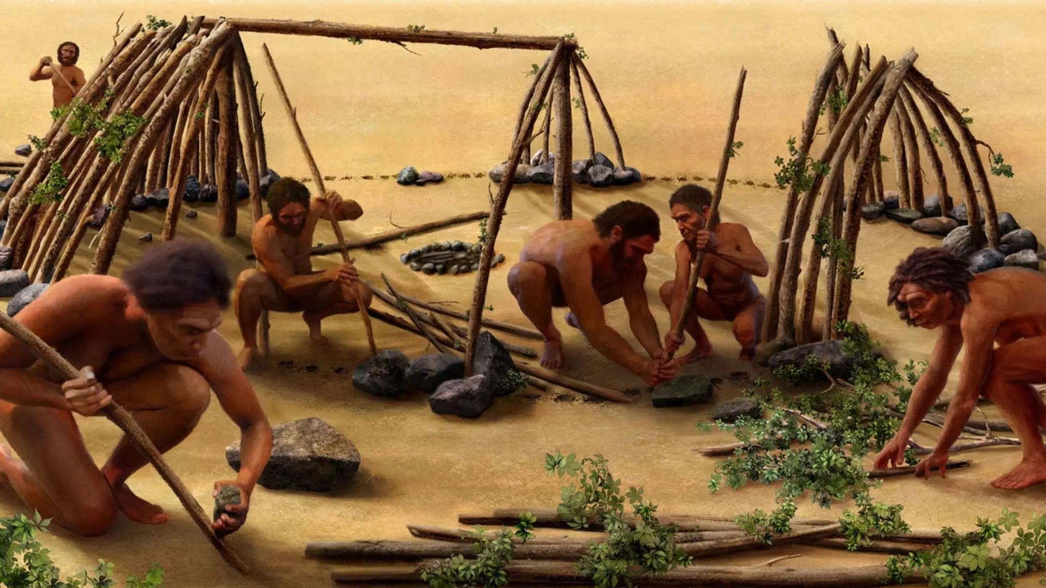 @_natw 
Early human groups. 
 