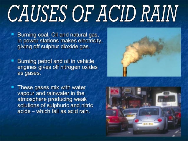 case study of acid rain