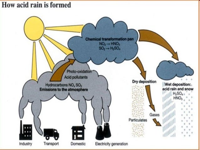 Reasearch on acid rain