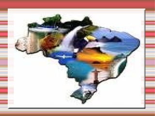 Urso Panda Os pandas vivem nas florestas das regiões montanhosas da China,vivem em cavernas ou no oco de árvores. 