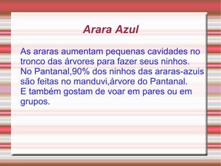 Arara Azul As araras aumentam pequenas cavidades no tronco das árvores para fazer seus ninhos. 