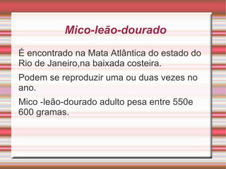 E também gostam de voar em pares ou em grupos. 