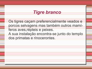 Mico-leão-dourado É encontrado na Mata Atlântica do estado do Rio de Janeiro,na baixada costeira. 