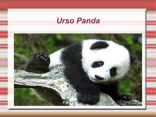 Podem se reproduzir uma ou duas vezes no ano. 