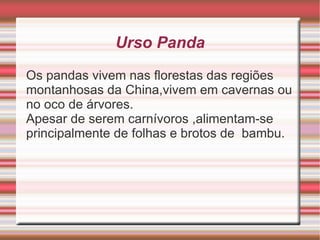 Mico -leão-dourado adulto pesa entre 550e 600 gramas. 