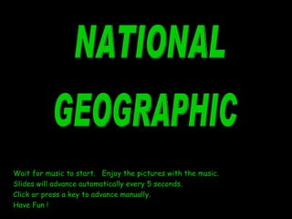 Wait for music to start.  Enjoy the pictures with the music. Slides will advance automatically every 5 seconds. Click or press a key to advance manually. Have Fun ! NATIONAL  GEOGRAPHIC 