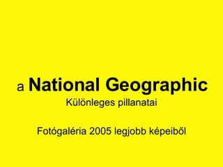 a  National Geographic Különleges pillanatai Fotógaléria 2005 legjobb képeiből 