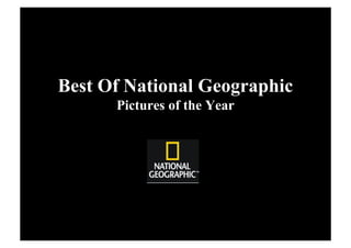 Best Of National Geographic
      Pictures of the Year