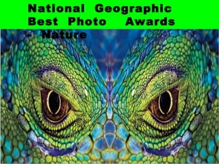 National  Geographic  Best  Photo  Awards  -  Nature  