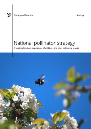 A strategy for viable populations of wild bees and other pollinating insects
National pollinator strategy
StrategyNorwegian Ministries
 