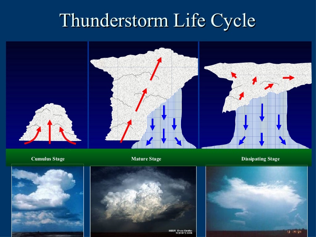 Life Cycle Of A Thunderstorm