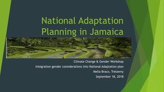 National Adaptation
Planning in Jamaica
Climate Change & Gender Workshop
Integration gender considerations into National Adaptation plan
Melia Braco, Trelawny
September 18, 2018
 
