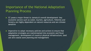 Importance of the National Adaptation
Planning Process
 CC poses a major threat to Jamaica’s overall development- key
eco...