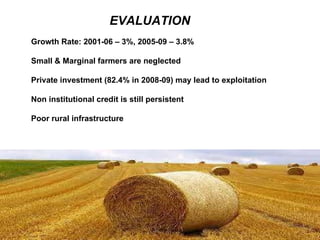 EVALUATION Growth Rate: 2001-06 – 3%, 2005-09 – 3.8% Small & Marginal farmers are neglected Private investment (82.4% in 2008-09) may lead to exploitation Non institutional credit is still persistent Poor rural infrastructure